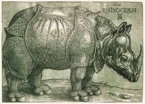 Albrecht Dürer, Das Rhinozeros, um 1515