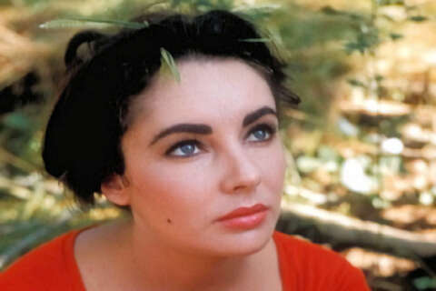 Liz Taylor