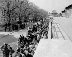 Ausstellung "Schwarz auf Weiss" - Die ersten Fotos aus dem befreiten KZ Buchenwald